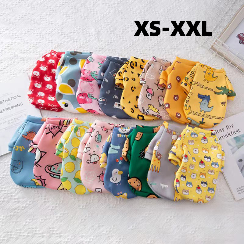 Xs Hundekleidung für kleine Hu – Winter Clothing Kids Bewertung und Preis
