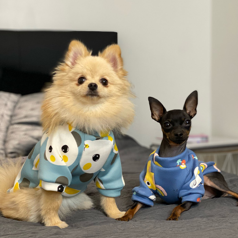 Xs Hundekleidung für kleine Hu – Winter Clothing Kids Bewertung und Preis