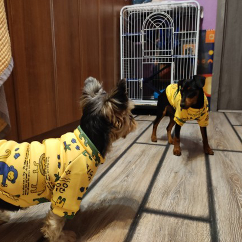 Xs Hundekleidung für kleine Hu – Winter Clothing Kids Bewertung und Preis
